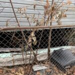 Collapsed and inward-bowed foundation wall on the right side of a duplex, exposing the basement and showing structural failure requiring full foundation replacement.